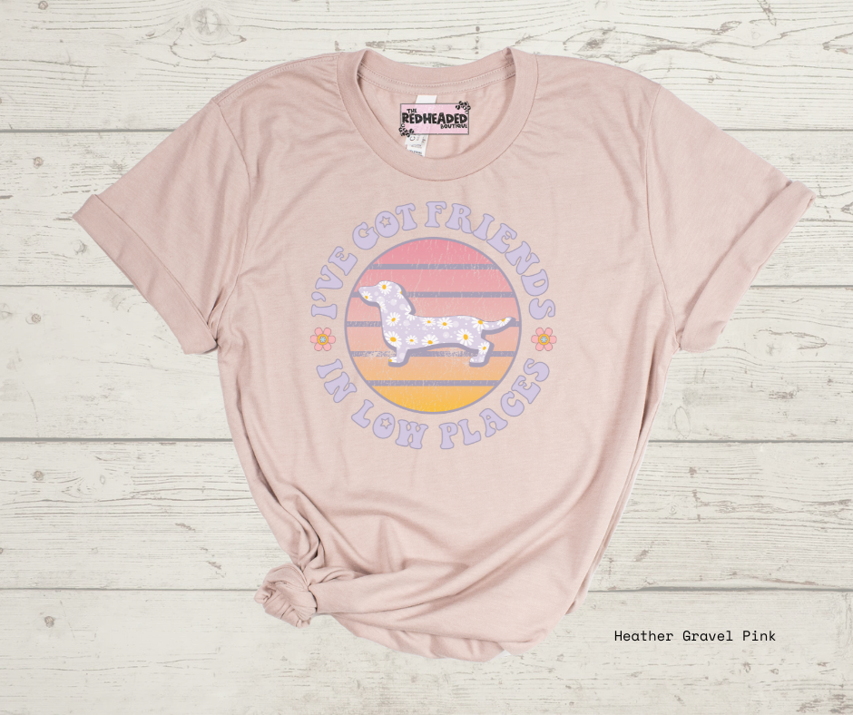 Friends in Low Places T-shirt