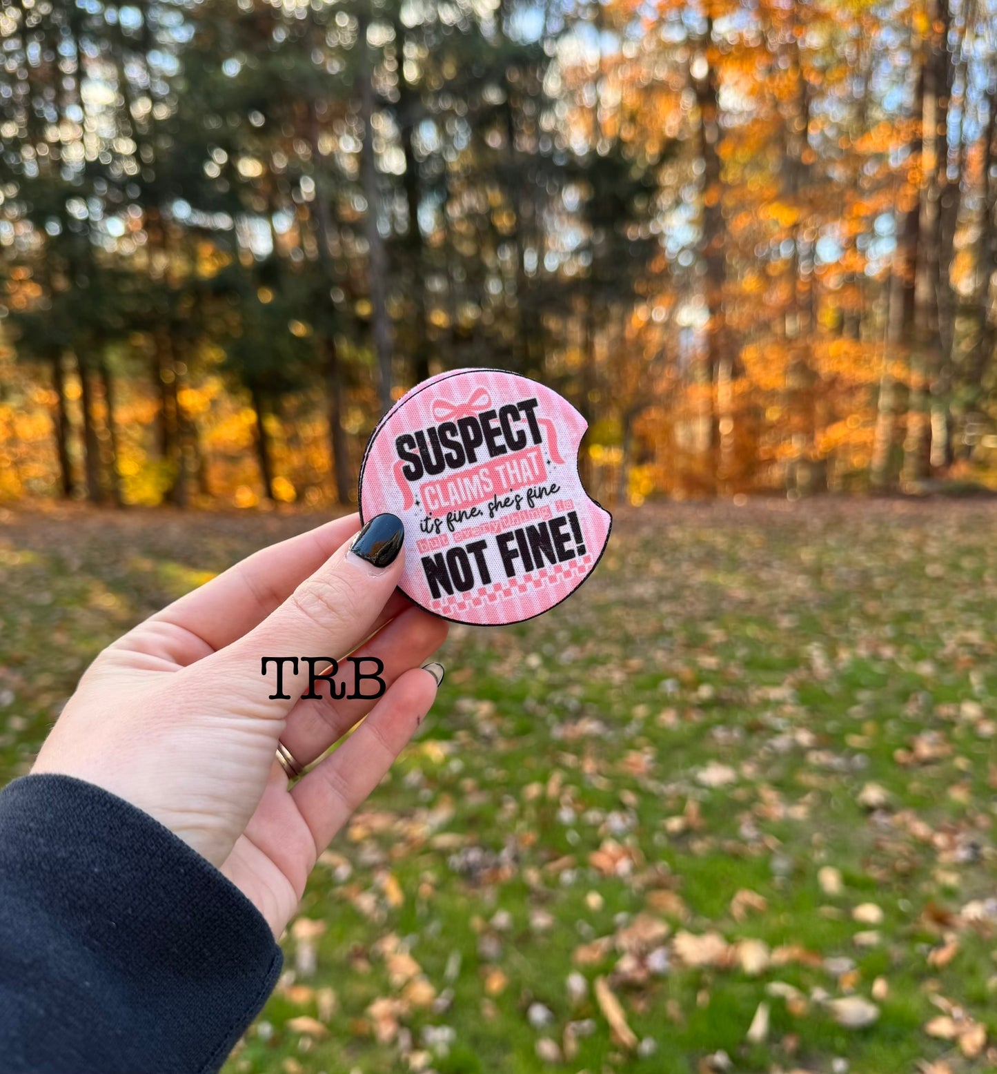 Suspect Not Fine Car Coasters