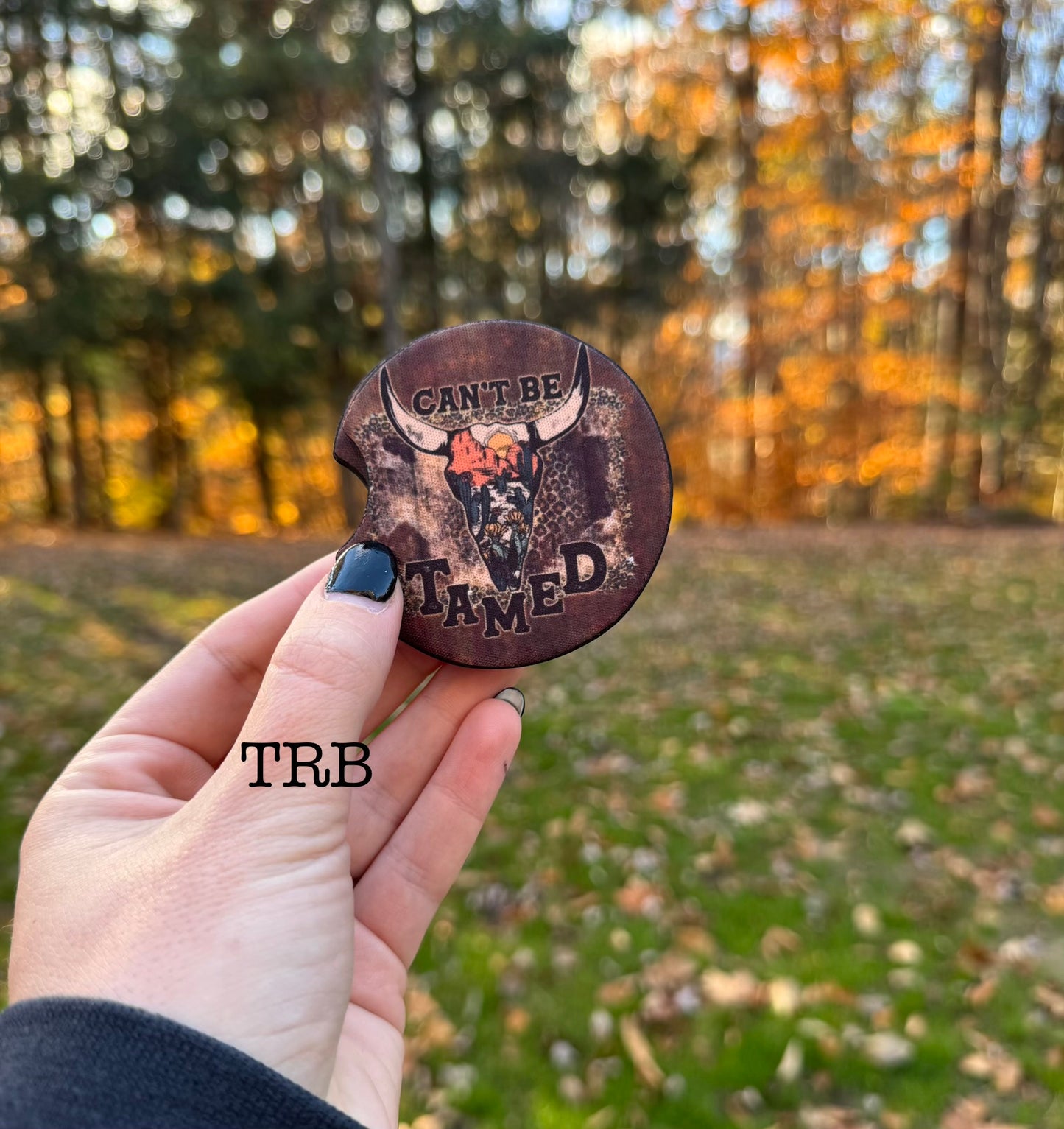 Cant Be Tamed Car Coasters