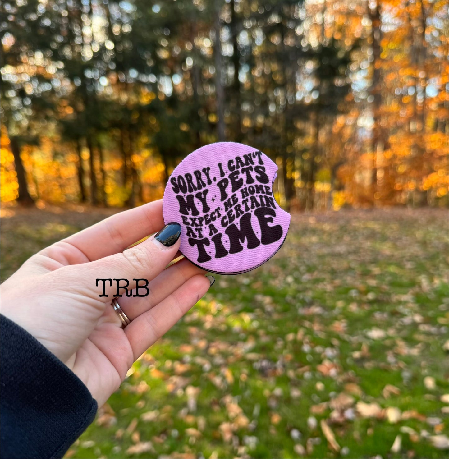 Pets Expect Me Car Coasters