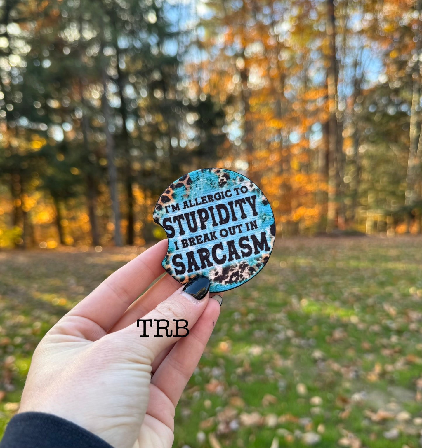 Stupidity Car Coasters