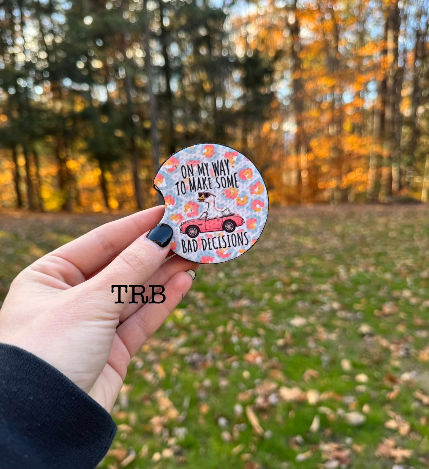 Bad Decision Goose Car Coasters