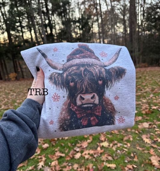 Winter Highland Cow